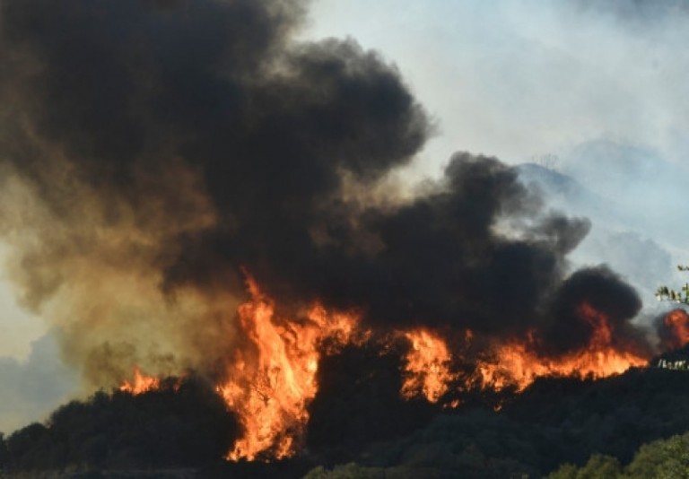 shish-fire-bulnews